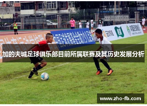 加的夫城足球俱乐部目前所属联赛及其历史发展分析